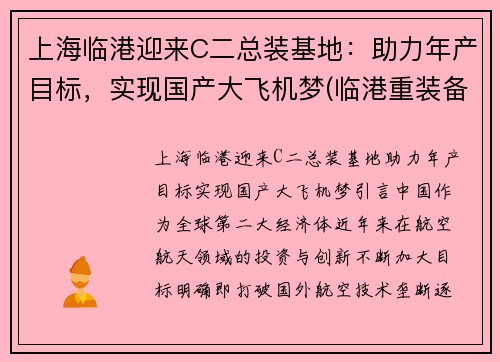 上海临港迎来C二总装基地：助力年产目标，实现国产大飞机梦(临港重装备产业区h23-01地块)